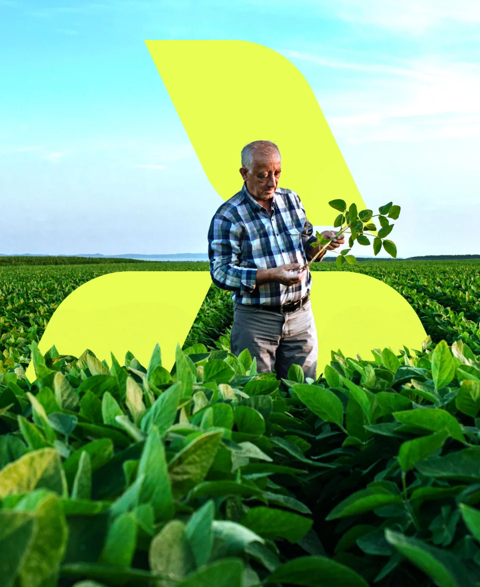Agronomo in campo Agrimedia